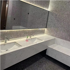 DXW304 Custer Grey Artificial Stone Precast Terrazzo