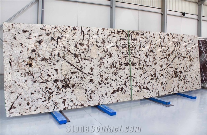 Alpinus Exotic Granite Slabs