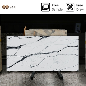 Kitchen Polished Modern Black Veins White Quartz Stone