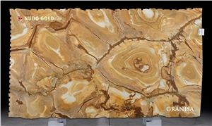 Nudo Gold- Palomino Quartzite Slabs