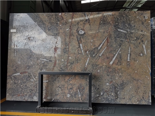 Morocco Gran Fossil Marble Brown Polished For Bedroom Design