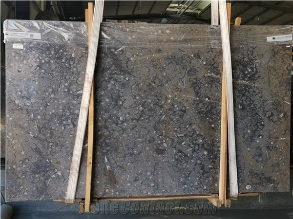 Morocco Gran Fossil Marble Brown Polished For Bedroom Design