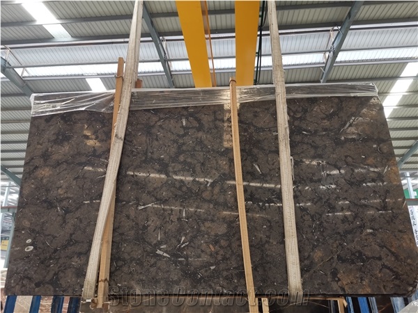 Morocco Gran Fossil Marble Brown Polished For Bedroom Design