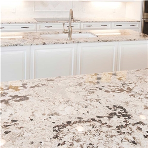Nice Pattern Alaska White Granite Kitchen Countertops