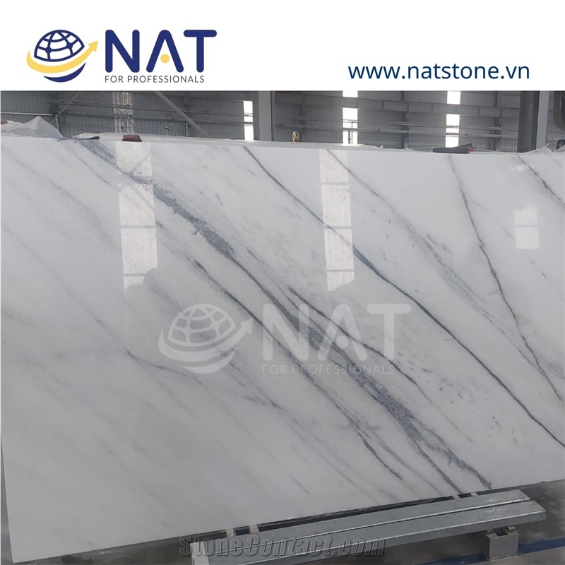 Vietnam Calacatta Marble -White Marble With Cross Vein Slab