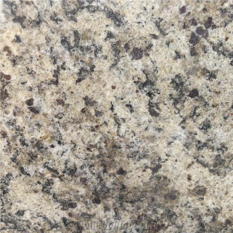 Brasil Granite Brazil Gold Granite Slabs With Yellow Grain