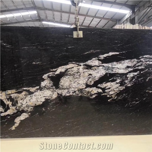 Meteorus Black And White Exotic Granite Luxury Villa Design