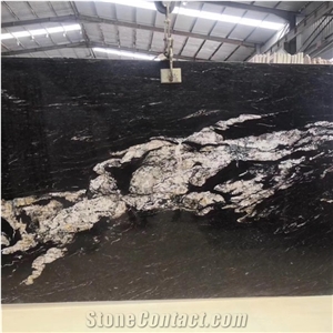 Meteorus Black And White Exotic Granite Luxury Villa Design