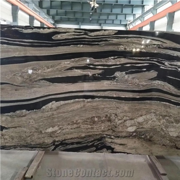 Meteorus Black And White Exotic Granite Luxury Villa Design