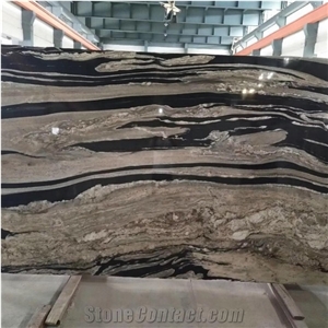 Meteorus Black And White Exotic Granite Luxury Villa Design