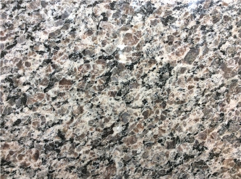 New Caledonia Granite Slabs