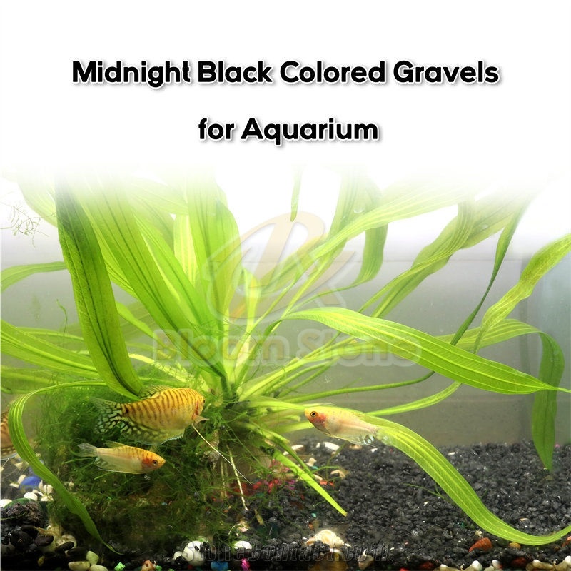 Crushed Black Midnight Coloured Gravels For Aquarium
