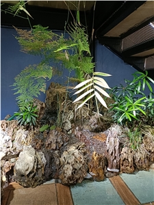 Dragon Stone Seiryu Stone For Aquarium Ocean Pebbles