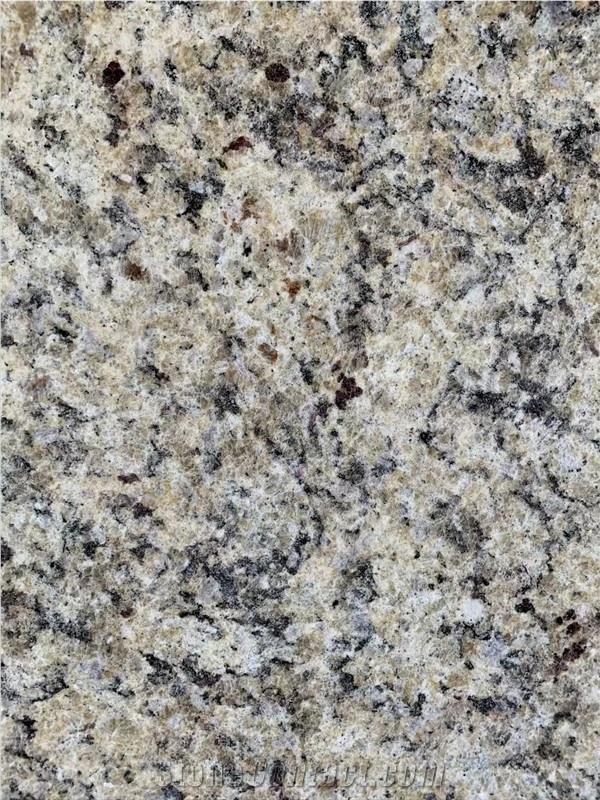 Giallo Ornamental Granite, Brazil Gold Granite Tiles& Slab