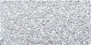 The Waves Are White Quartz GN2175A