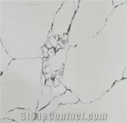 Quartz Stone Slabs White Calacatta By AMG