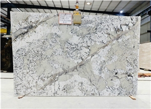 Artic White Granite Slabs