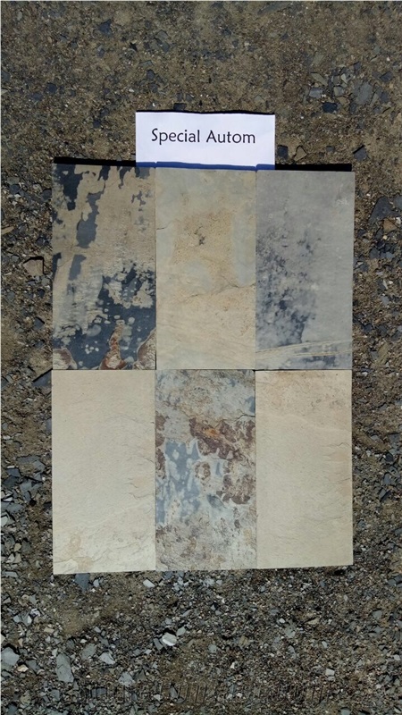 SPECIAL Indian Autumn Slate Tiles