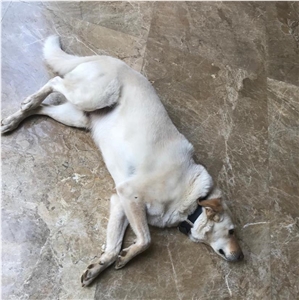 Light Emperador Marble Floor Tiles