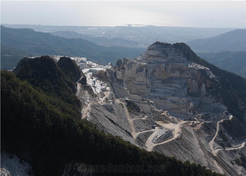 Calacatta Carrara- Calacatta Gold Marble Blocks