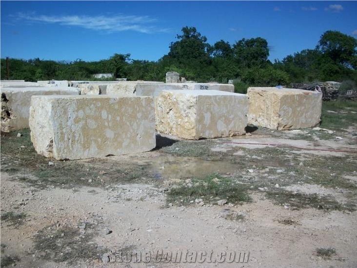 Classic Coral Stone Blocks