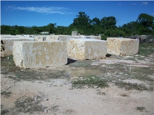 Classic Coral Stone Blocks
