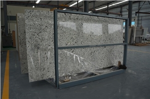 Competitive Oyster Quartz 320*160*2 Cm Polished