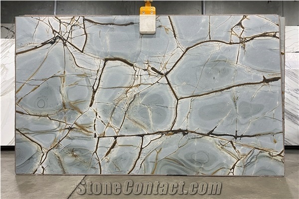 Blue Roma Impression Quartzite Luxury Polished Slabs