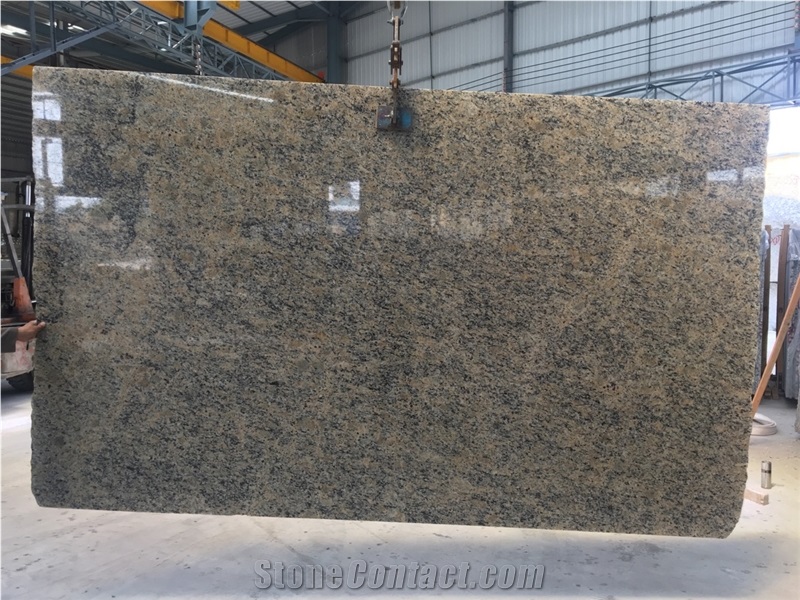 Giallo Santa Cecilia Color Granite  Slabs With High-Quality