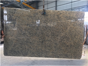 Giallo Santa Cecilia Color Granite  Slabs With High-Quality