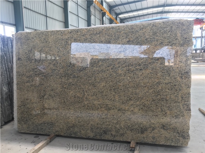 Giallo Santa Cecilia Color Granite  Slabs With High-Quality