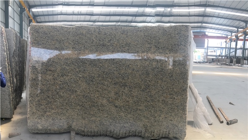 Giallo Santa Cecilia Color Granite  Slabs With High-Quality