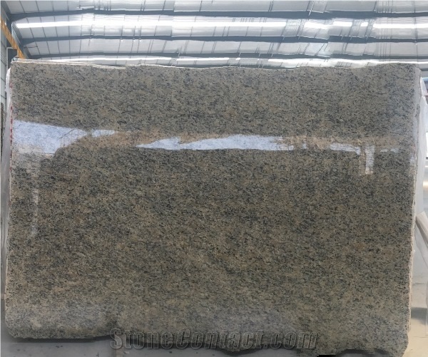 Giallo Santa Cecilia Granite From Xzx-Stone