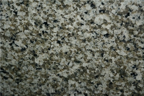 Jiangxi Green Granite Tiles & Slabs