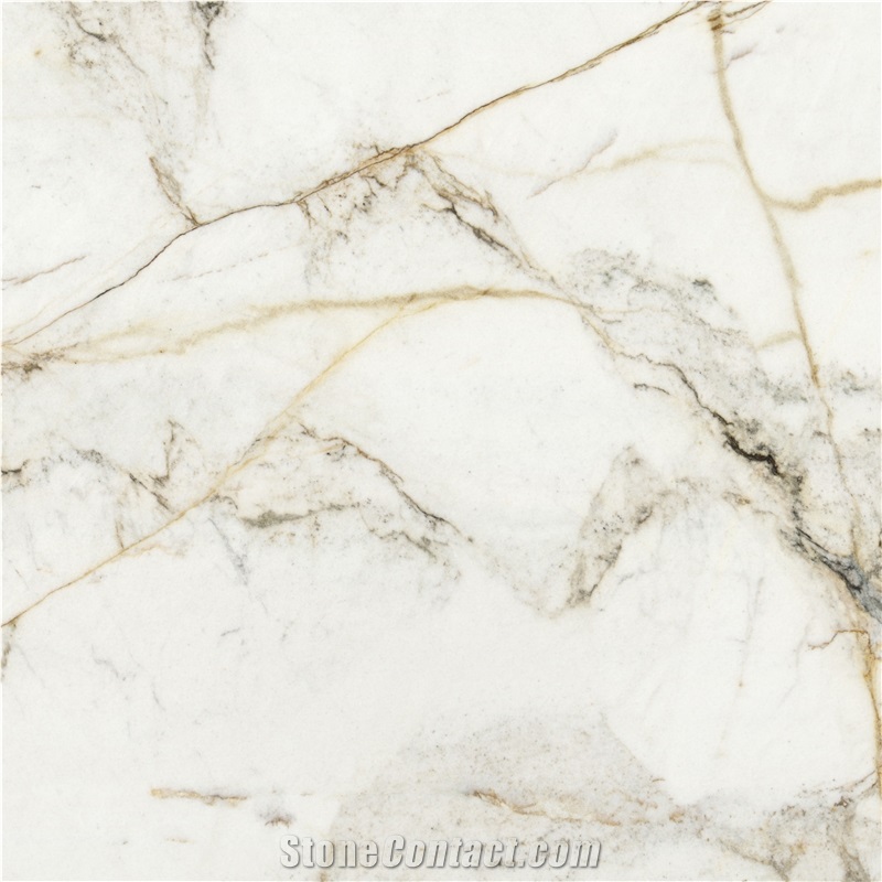 Calacatta Murano Marble importance=