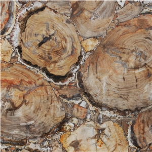 Petrified Wood Beige Semiprecious Stone