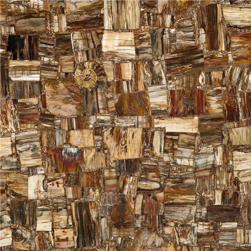 Petrified Wood Semiprecious Stone importance=