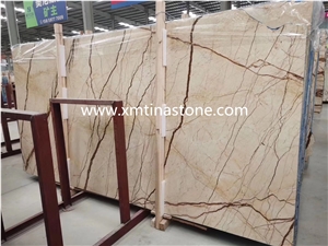 High Class Sofitel Gold Marble