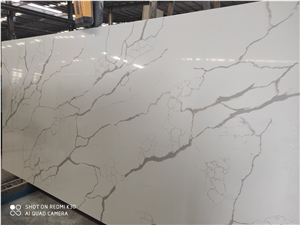A1802 Quartz Slabs