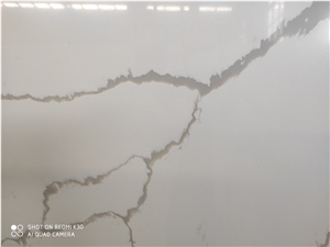 A1802 Quartz Slabs