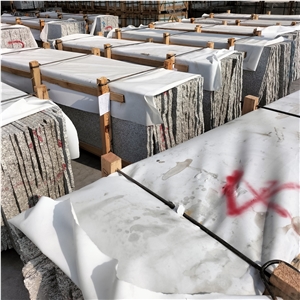 Wholesale Bacuo White Granite G603 Small Slabs