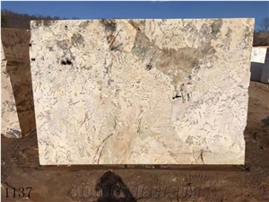 Brazil Pandora Granite Beige Standard Size Slabs Polished