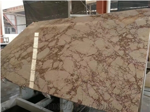 Turkey Rosalia Light Beige Slab Tile