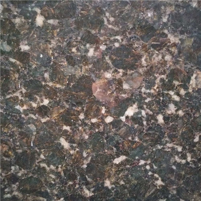 Best Sales Polished Granite Butterfly Green Granite Slabs