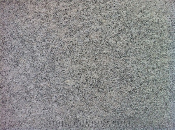 Majority Choice New G602 Granite Slabs For Floor