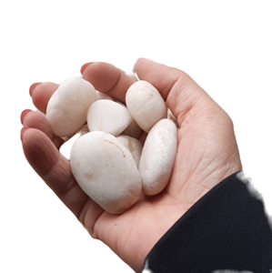 Discount White Marble Pebble Stone With Diffrent Size