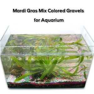 Multicolored Crushed Mardi Gras Mixed Coloured Gravels