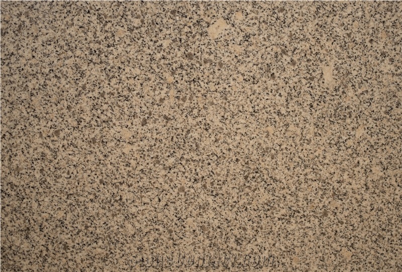 Gris Avila Granite Tiles, Granite Slabs