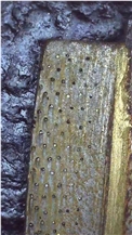 Edge Cutting Segment For Granite