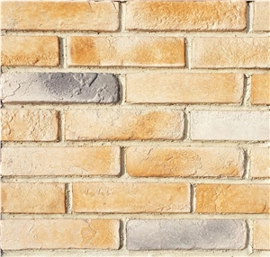 Clay Brick Exterior Wall Panels For Wall Decoration
